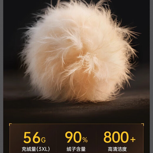 Langsha down pants women's outer wear in winter at minus 40 degrees 2025 new cold-proof pants small high-waisted fashionable warm pants black warm windproof duck down L recommended weight 80-115 Jin Jin equals 0.5 kg