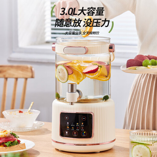 Health-preserving teapot, stew, all-in-one teapot, kettle, home office floral teapot, large capacity thermostatic kettle 3L with tea drain | full glass 0 glue | 12H constant temperature stainless steel heating plate | 0 glue | split type