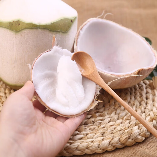 Hainan Fresh Pure Natural Peeled Coconut Green Coconut Ready-to-Eat Pregnant Women Fruit Coconut Chicken Soup Coconut Meat Coconut White - Wancheng Cost-Effective Green Coconut 2 Pack (Single Fruit Starting from 800g)