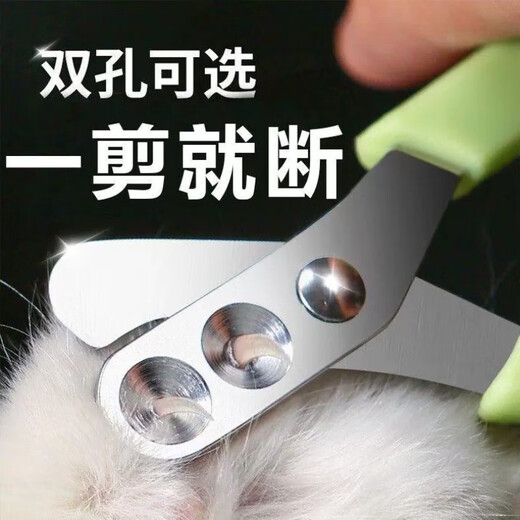 Cat nail scissors, special anti-scratch nail scissors, nail clippers, cat claws, pets, dog supplies, kittens, upgraded blue and white 1 pair + wire cat teasing stick