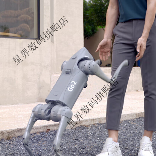 Yushu Voice AI Grand modèle de chien robot incarné, compagnon bionique intelligent, robot quadrupède, longue durée de vie de la batterie + télécommande Go2-Pro longue durée de vie de la batterie + télécommande