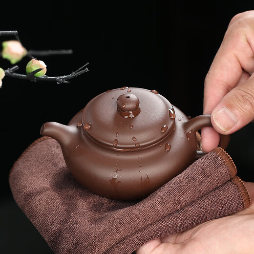 Hidden Pot World Yixing Purple Clay Pot Purely Handmade Teapot Original Mineral Purple Clay Small Capacity Household Kung Fu Tea Set Teapot Antique Pot Antique Pot 170ml