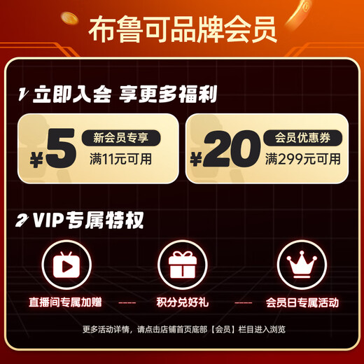 Brooke bloc de construction homme Pokémon classique L mante volante jouets pour garçons et filles cadeau d'anniversaire figurines jouets à la mode