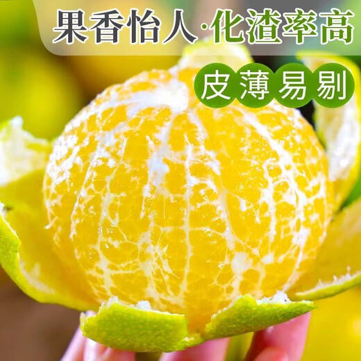 Jingdida Guangxi Emperor Citrus Orange Nettogewicht 4,5 Jin Jin entspricht 0,5 kg Einzelfrucht 60 mm+ Frischfruchtquelle direkt