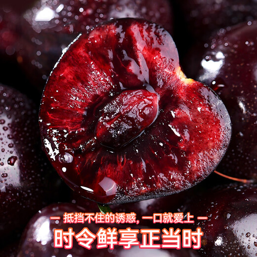 Uncle Sam Gold Award Cherry Gift Box JD Express - Next Day Delivery to Many Places New Year's Day Gift Fruit 3Jin Jin equals 0.5kg (net weight) Value Pack - 80% Choice Enjoyable Gift Box Black Diamond Big Mac 3J 30-32mm Recommended*