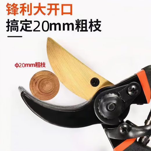 RRLFCS Germany German SK5 powerful garden shears stainless steel labor-saving pruning fruit tree thick branches German extra thick SK5 powerful thick branch shears Golden Eagle model