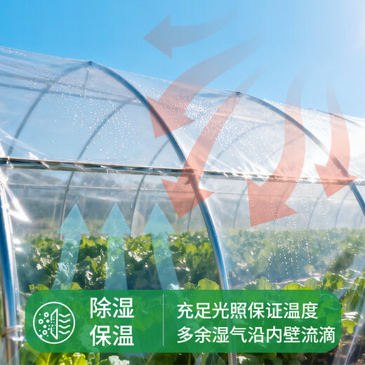 Yueshun plastic cloth thickened anti-aging drip-free film 2 meters wide 10 silk * 5 meters film greenhouse film waterproof cloth insulation film