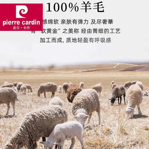 Pierre Cardin 2025 new winter double-ply thickened 100% wool sweater men's half turtleneck casual loose knitted bottoming shirt medium gray 2XL (180) recommended 145-160Jin Jin equals 0.5 kg