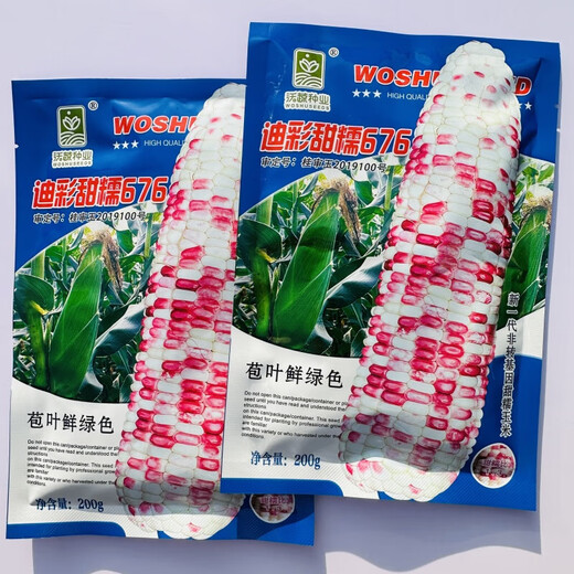 National Approval Xiaofu Tiangui Nuo 937 Big Stick High Yield Disease Resistance Spring and Autumn Field Base Colorful Sweet Nuo Jade 2018 BMW Tian Gui Nuo 937 Canned 500g