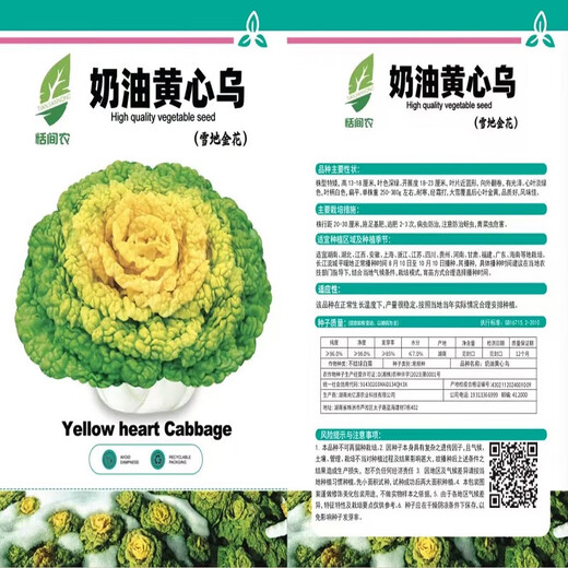 Yellow cabbage seeds are cold and wet-resistant, chrysanthemum heart butter yellow cabbage vegetable seeds for garden planting, yellow cabbage seeds, buy three packs, get two packs free, about 5,000 grains