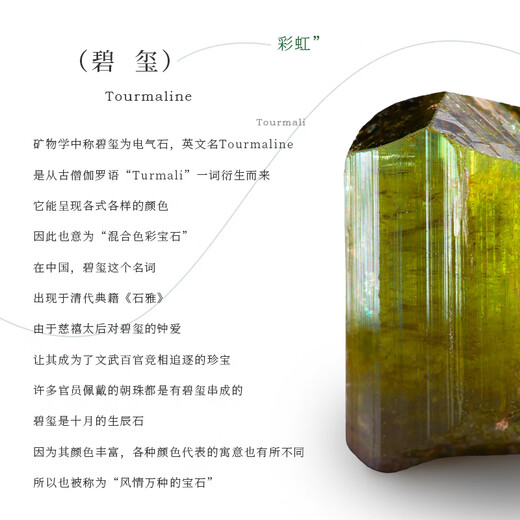 AMY S GARDEN Xiwei necklace women's light luxury niche high-end yellow-green tourmaline transfer bead clavicle chain birthday gift for women