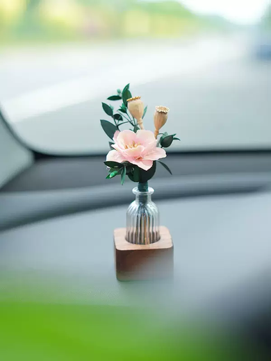 Yusenyi Car Aromatherapy Perfume Creative Dried Flower Plant Car Center Console Aromatherapy Car Interior Decoration High-end Gift White Violet Walnut Aromatherapy Decoration 1g