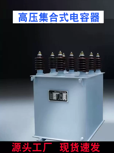 High voltage capacitor BAMBFM113 fixed parallel capacitor high voltage filter high voltage complete set of power capacitor BAM113-100-1W