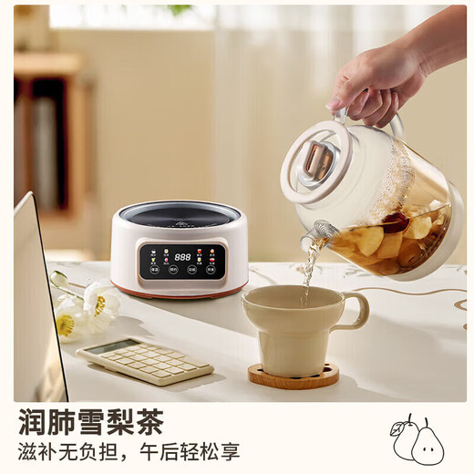 Health kettle with heat preservation, fully automatic constant temperature tea kettle, all-glass hot water kettle, tea kettle, large capacity, stewing, all-in-one, multi-functional household small smart model (pure glass health kettle) 1.2L