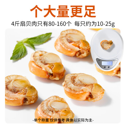 Linglue Frozen Extra Large Yellow Scallop Meat Net Weight 4Jin Jin is equal to 0.5kg, about 80-160 pieces, clean and sand-free, barbecue seafood
