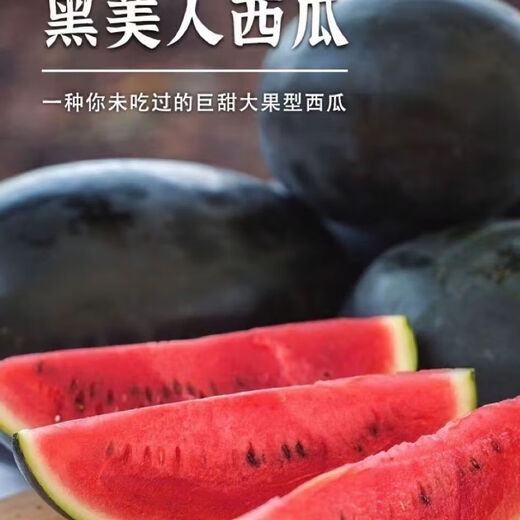 Fruit set, strawberry, cherry tomatoes, croissant, honey, watermelon, balcony potted plants, farmhouse garden melon seeds, various varieties, Black Beauty watermelon seeds, 1 pack, about 50 seeds