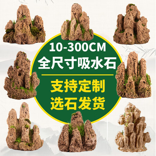 Absorbent stone natural stone bonsai fish tank courtyard large fish pond landscaping absorbent stone raw stone landscaping decoration height 10-14cm absorbent stone does not include pots and grass seeds included