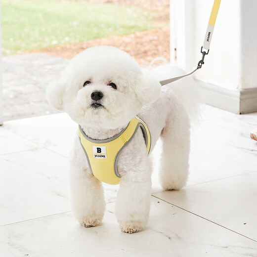 Cat 80,000 dog leash vest style breathable small dog walking leash Teddy Bichon harness dog chain Y18 M