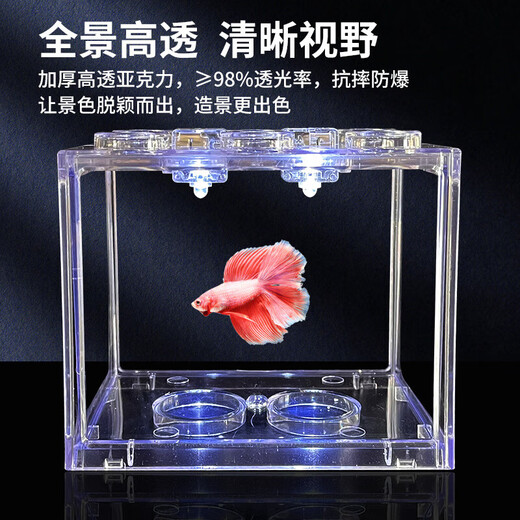 Trendy lifestyle electrical appliances lantern fish tank 1 fish tank (comes with colorful stones and water plants)