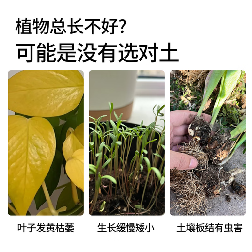 Nutrient soil for growing vegetables, organic orchid plant potting soil, coconut brick soil, selected nutrient soil 10 Jin Jin is equal to 0.5 kg