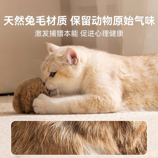Cat Toy Rabbit Fur Ball Funny Cat Bat Scent Enrichment Pet Oh Smell Big Size Cat Silent Plush Toy Pet Enrichment Toy-Rabbit Fur Ball-1 pc