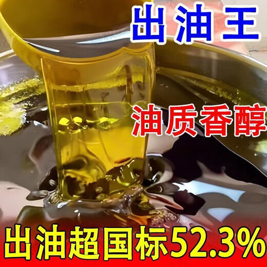 High-yielding rapeseed hybrid large-grained rapeseed Academy of Agricultural Sciences special seed for oil extraction short stem resistance to lodging and frost resistance 100g about 22,000 seeds + high-yield technology