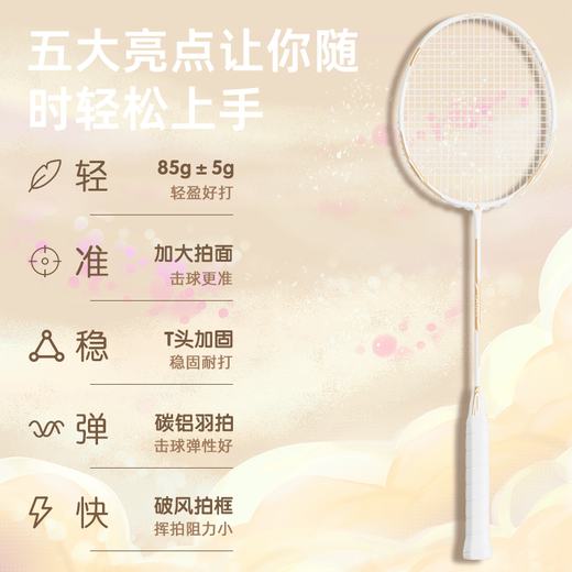 KAWASAKI川崎羽毛球拍对拍套装学生训练入门耐打双拍CA-095黑白金(已穿线)