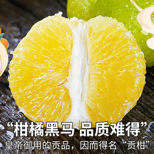 Jingdida Guangxi Emperor Citrus Orange Nettogewicht 4,5 Jin Jin entspricht 0,5 kg Einzelfrucht 60 mm+ Frischfruchtquelle direkt
