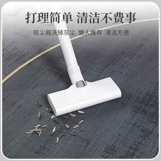 High-end living room carpet, sofa, coffee table, blanket, bedroom large area, fully covered no-wash mat, non-slip and stain-resistant floor mat, minimalism - Chipin 200*300cm, soft and easy to take care of