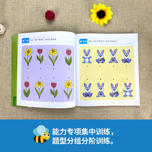 Libro de desarrollo intelectual para niños de 2 a 7 años, libro avanzado de desarrollo de todo el cerebro para niños de jardín de infantes, juguetes de desarrollo del cerebro izquierdo y derecho, libro de juegos de entrenamiento de pensamiento intelectual de los niños [3 libros para 3 años] Desarrollo intelectual