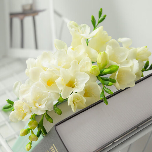 Jo Malone Flavor Freesia 10 random colors