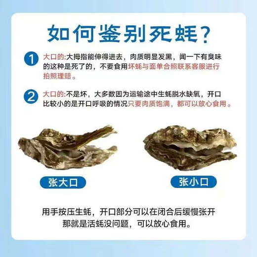 Fresh Rushan oysters, fresh oysters, 5 Jin Jin equal to 0.5 kg box, 4XL large oysters (9-14 pieces per box), net weight 5 Jin Jin, equal to 0.5 kg oysters