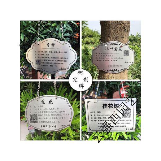 Stainless steel tree sign spring tension spring rope hanging chain stainless steel material retractable without damaging the tree sign sign customization stainless steel 0.8*100CM spring with one screw 0x0cm