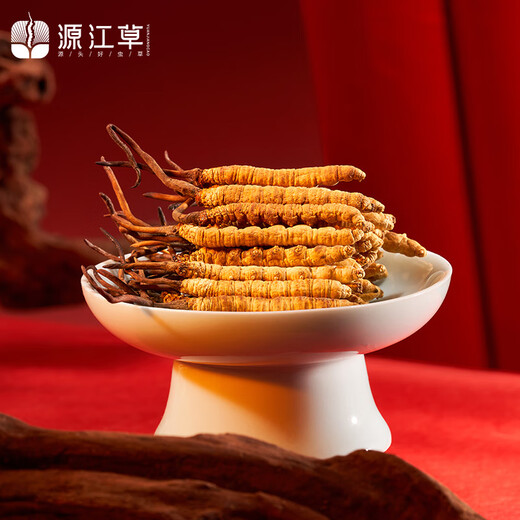 Yuanjiang grass cordyceps high altitude new dried cordyceps gift box dry goods nutritional supplements for leaders and elders 2-3/g 10g red gift box