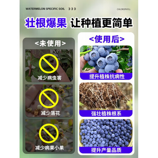 LDVEP special fertilizer for blueberries, organic nutrient solution for plant potting, general aqueous liquid fertilizer for root strengthening, seedling treatment and yellow leaf rapid rejuvenation package, special nutrition for blueberries
