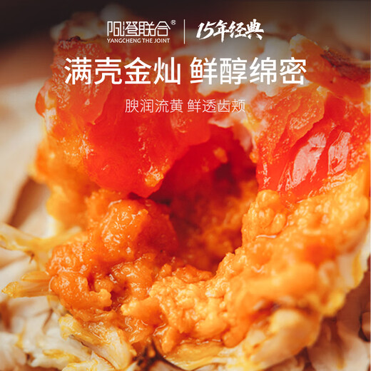 Live Crab Yangcheng United Fresh Hairy Crab Male 4.5-4.8 Female 3.5-3.8 Liang 4 Pairs 8 Crabs Seafood Gift Box