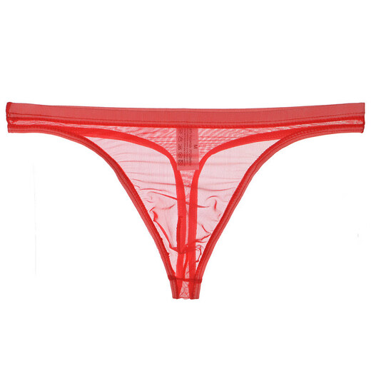 Junjunjia new product men's transparent thong thin mesh sexy underwear breathable young men white M