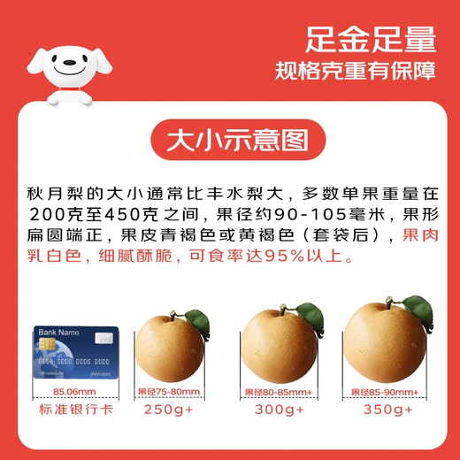 Jingxiansheng Shandong Yantai Laiyang Qiuyue Pear Net weight 4Jin Jin is equal to 0.5kg Single fruit 200g+ Fresh fruit Straight from the source