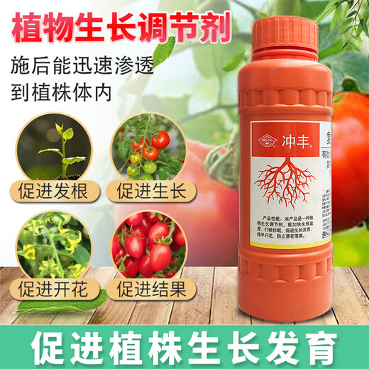 Guoguang Chongfeng 0.7% sodium nitrophenolate tomato tomato growth regulator plant growth regulator sodium nitrophenolate 500ml