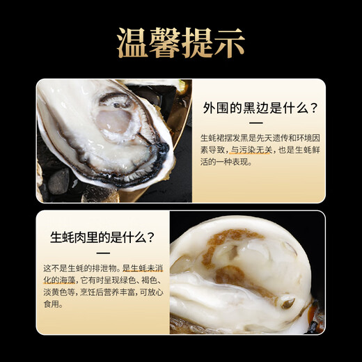 Lighthouse Jellyfish Fresh Rushan Oyster No. 6XL Net weight 5 Jin Jin equals 0.5 kg Straight from the source