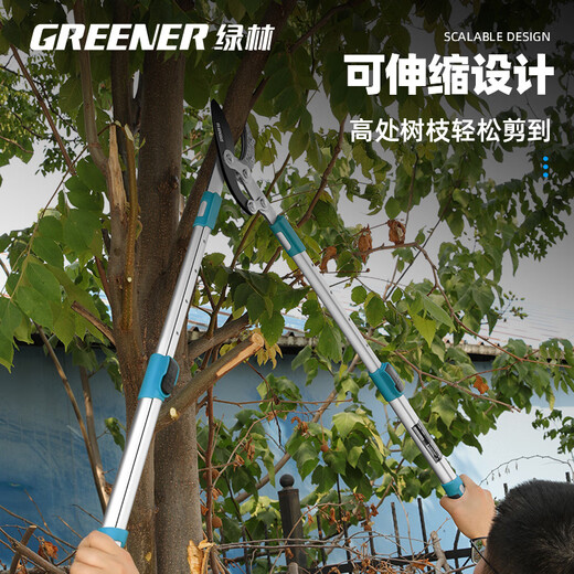 GREENER Thick Branch Pruning Scissors Fruit Tree Pruning Powerful Shearing Powerful Shears for Gardening Branches Four-speed Telescopic Shark Shears + Large Folding Saw
