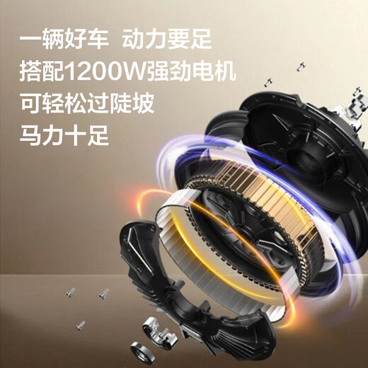 Sunra electric motorcycle Liman self-operated motorcycle 60v 5 lead-acid batteries 76km range large pedal electric car unisex battery car electric motorcycle brown