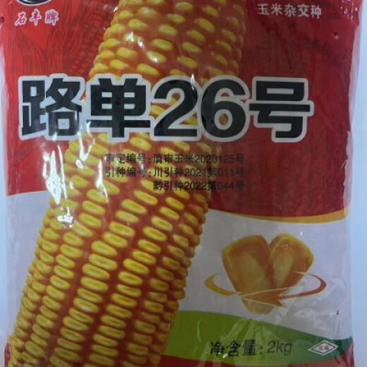 Ludan No. 26 Short Stem - High-yielding corn seeds, field corn hybrid seeds that are resistant to lodging, disease, and rot. Ludan No. 26 short stem - High-yielding corn seeds, field corn seeds that are resistant to lodging, disease, and rot.