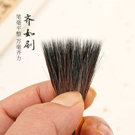 Ancient rhyme gray tail brush calligraphy special large, medium and small regular script cursive official script beginners entry set 151 gift box gray tail brush three large, medium and small