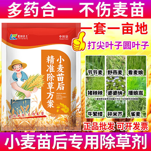 Herbicida de post-emergencia de trigo Jiejie Wheat and Wild Oats, Kanmainiang Hekuo doble matanza sin dañar las plántulas de trigo, paquete de deshierbe de trigo C paquete conjunto de 8 paquetes, elimina Jiejie trigo, bromo, avena silvestre versión mejorada 1 juego