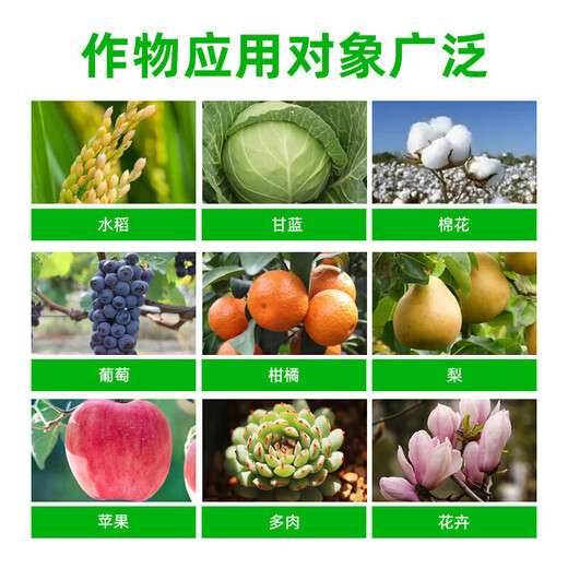 Guoguang Pesticide Naphthalene Acetate Plant Growth Regulator Flower Preservation and Fruit Preservation Medicine Prevent Fruit Falling Apple Tree Hua Guo Bao 100ml*10 Bottles