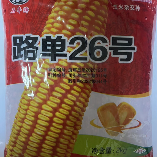 Ludan No. 26 Short Stem - High-yielding corn seeds, field corn hybrid seeds that are resistant to lodging, disease, and rot. Ludan No. 26 short stem - High-yielding corn seeds, field corn seeds that are resistant to lodging, disease, and rot.