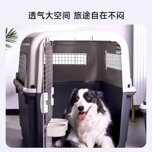 吉品帝宠物国际标准航空箱狗狗中大型笼子外出托运便携猫咪车载旅行空运 1号塑料窗【国航深航不可上】