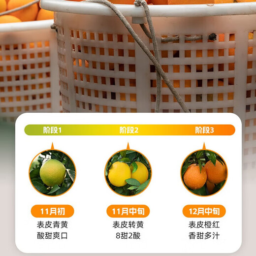 Jingmi Jiangxi Gannan navel orange 9Jin Jin is equal to 0.5kg, net weight orange diamond fruit starting from 220g, portable gift box, sweet orange fruit, straight from the source