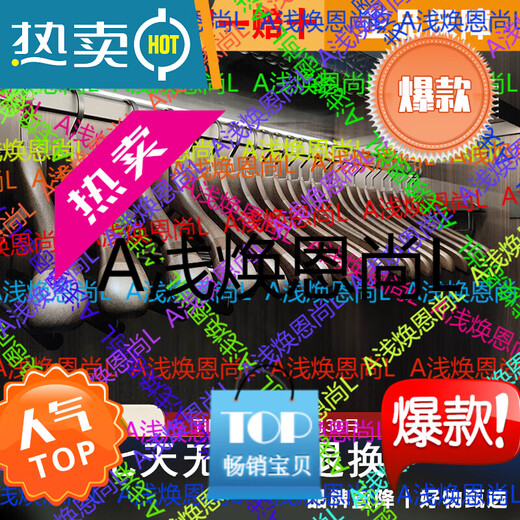 KING HANGER (KING HANGER) seamless non-slip solid wood clothes hanger beech wood light luxury practice 6 Ruishe women's shirt hanger 6 pieces